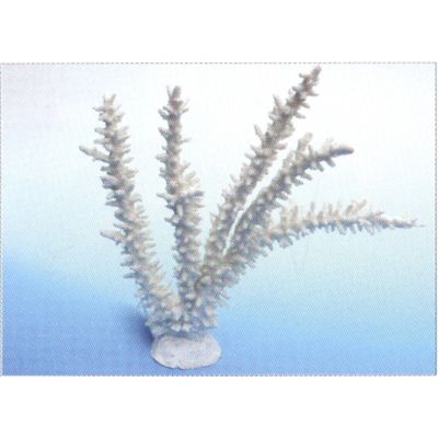 Декоративный коралл из пластика белого цвета (SH017W) фирмы Vitality (34х7х28,5 см)  на фото