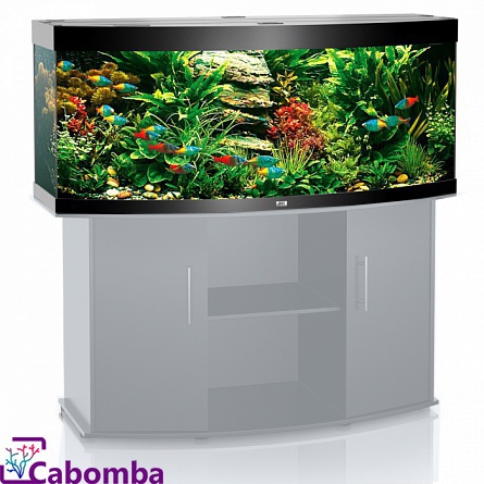 Панорамный аквариум VISION 450 фирмы JUWEL (151х61х64 см/чёрный, 450 литров)  на фото