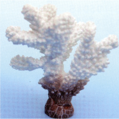 Декоративный коралл из пластика белого цвета (SH-9203W) фирмы Vitality (10х7х12 см)  на фото