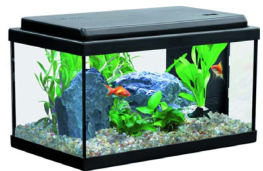 Нано-аквариум ATLANTIS 40 с LED-освещением фирмы AQUATLANTIS (41x20x27 см/черный/20 литров)  на фото