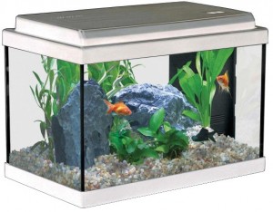 Нано-аквариум ATLANTIS 40 с LED-освещением фирмы AQUATLANTIS (41x20x27 см/белый/20 литров)  на фото