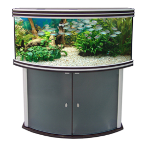 Панорамный аквариум "EVASION HORIZON 120" с освещением Т5 2х45Вт фирмы AQUATLANTIS (120x50x60 см/черный/275 литров)  на фото