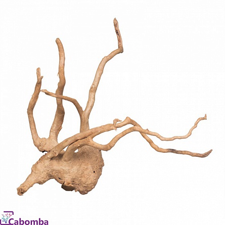 Натуральная коряга “Коряга сакура М” фирмы PRIME (30-60 см)  на фото