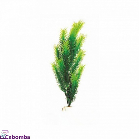 Пластиковое растение Перестолистник фирмы Barbus (20 см)  на фото