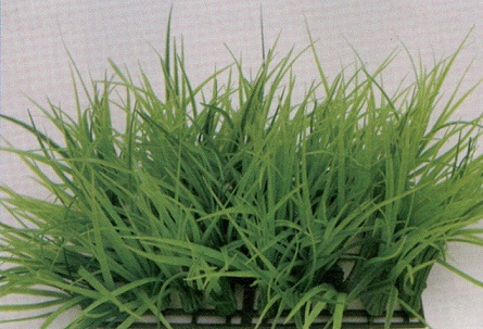 Декоративное растение из пластика "Коврик-шар 12,5*25 см зеленое" фирмы  VITALITY (83005-12.5) на фото