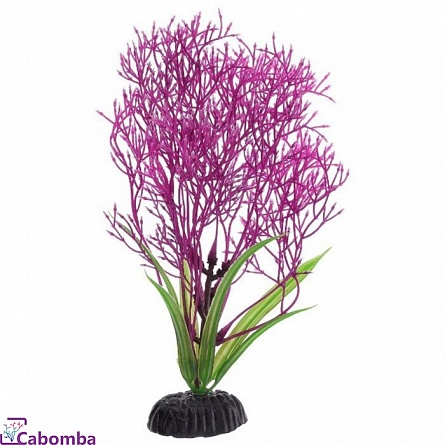 Растение пластиковое Barbus  Горгонария сиреневая 20 см на фото