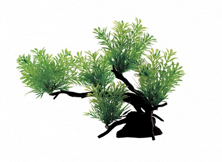 Искусственная растительная композиция на бонсае "Ротала зеленая" (28x12x21 см) марки Art Uniq  на фото