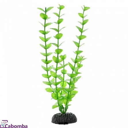 Растение пластиковое Barbus Бакопа зелёная (20 см) на фото