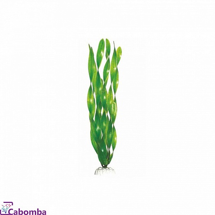 Пластиковое растение Валиснерия широколистная 10 см фирмы Barbus на фото