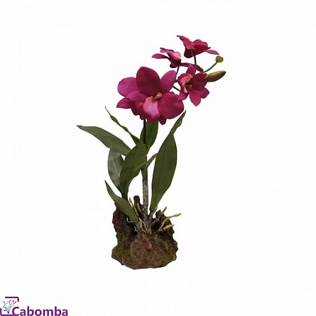 Растение для террариумов Lucky Reptile Орхидея пурпурная (35 см) на фото