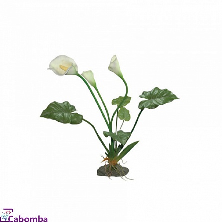 Искусственное растение для террариумов Калла Лилия белая фирмы Lucky Reptile (60 см) на фото