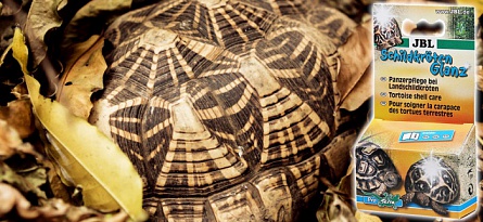 Средство ухода за панцирем и борьбы с паразитами у сухопутных черепах "Schildkrötenglanz (Tortoise Shine)" фирмы JBL  на фото