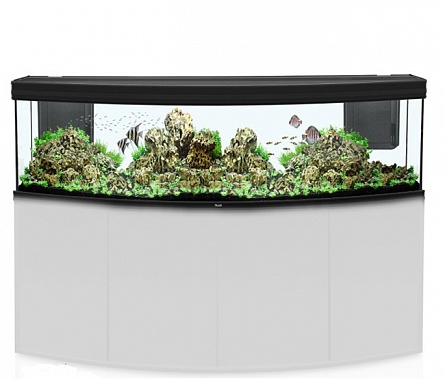 Панорамный аквариум "FUSION HORIZON 200" с LED-освещением 2х88 Вт фирмы AQUATLANTIS (200x67x60 см/черный глянец/581 литр)  на фото