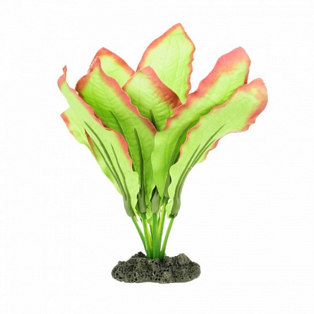 Декоративное растение из шёлка "Эхинодорус Озирис" фирмы PRIME (13 см)  на фото
