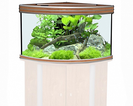 Угловой аквариум "EVASION CORNER 100" с освещением Т5 2х28Вт фирмы AQUATLANTIS (100х75х60 см/дуб/190 литров)  на фото