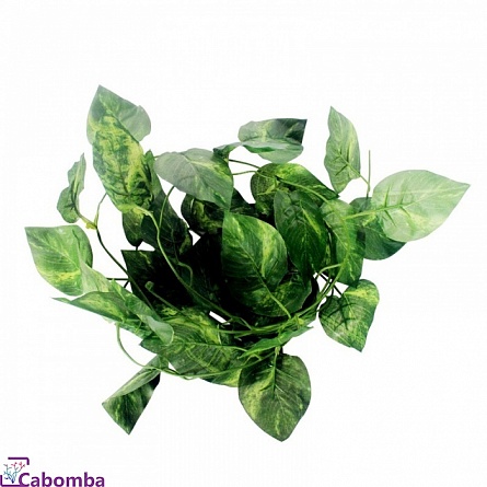 Растение для террариума NOMOyPet лиана Филодендрон (230 см) на фото