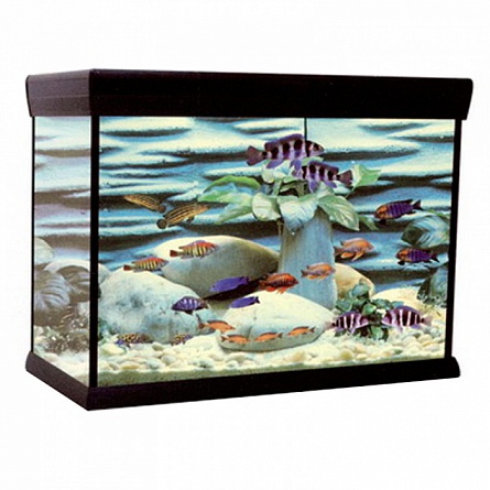 Прямоугольный аквариум ANUBIAS D-1000F (245 л) ЧЕРНЫЙ на фото