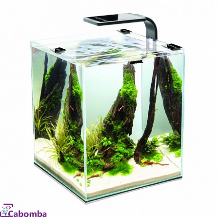 Аквариум "Shrimp Set SMART LED PLANT II" для креветок и крабов фирмы Aquael (25x25x30 см/черный/20л)  на фото