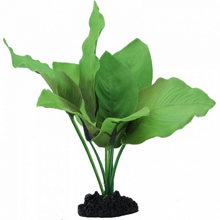 Растение PRIME шелковое Анубиас Бартера (40см) на фото