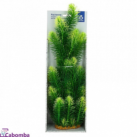 Декоративное растение из пластика “Ротала зелёная” фирмы PRIME (38 см)  на фото