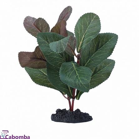 Растение шелковое PRIME Гигрофила (20см) на фото
