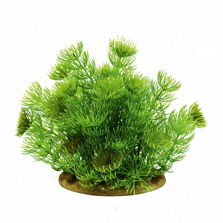 Декоративное растение из пластика "Лимнофила" фирмы  ArtUniq (15 см) на фото