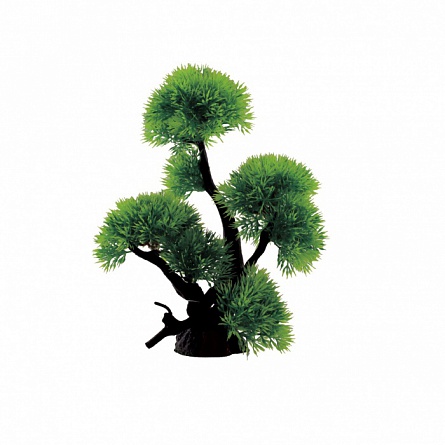 Декоративная растительная композиция на бонсае "Риччия" фирмы ArtUniq (18x11x24см)  на фото
