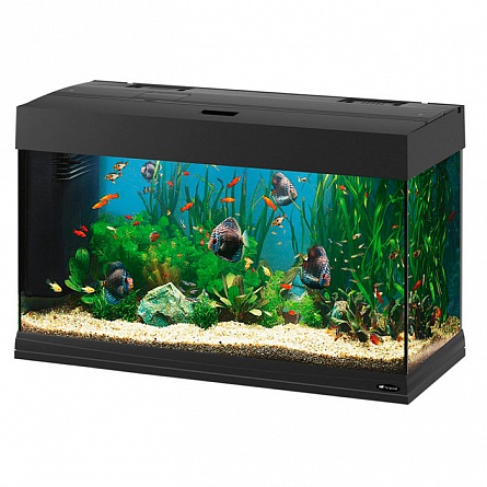 Прямоугольный аквариум FERPLAST DUBAI 80 (81x36x51 см/черный/125 л) на фото
