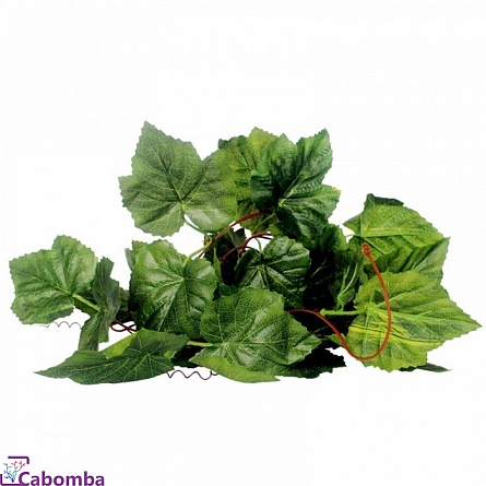 Растение для террариума NOMOyPet лиана Виноградная лоза (230 см) на фото