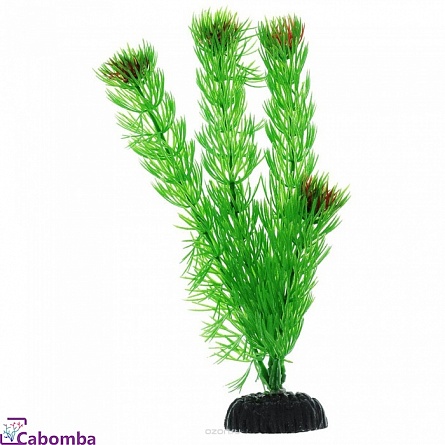 Растение пластиковое Barbus  Амбулия (20 см) на фото