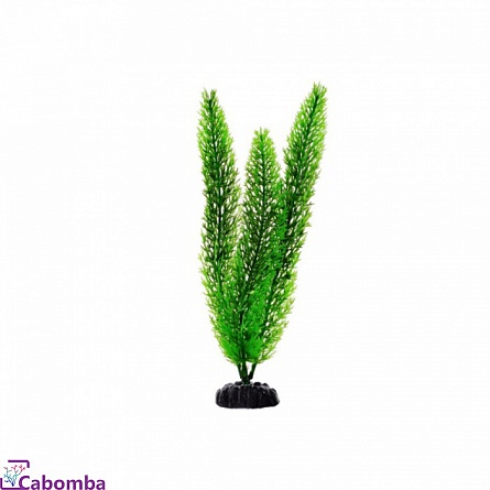 Пластиковое растение Роголистник фирмы Barbus (10 см) на фото