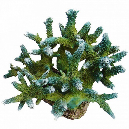 Коралл REPLICA LIVE CORAL (пластиковый, зеленый, L210 x W190 x H165мм) на фото