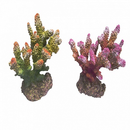 Коралл "REPLICA LIVE CORAL" (пластиковый, розовой, L170 x W120 xH145 мм) на фото