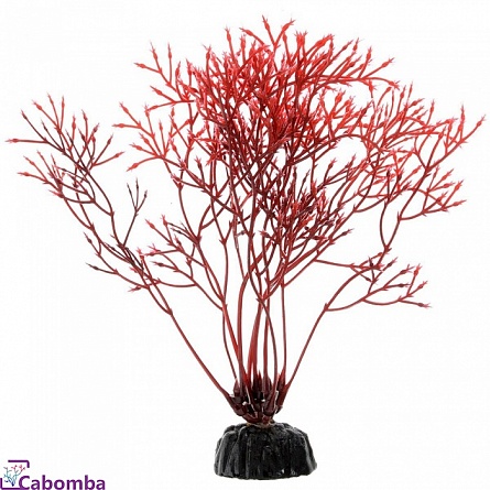 Растение пластиковое Barbus Горгонария красная (10 см) на фото