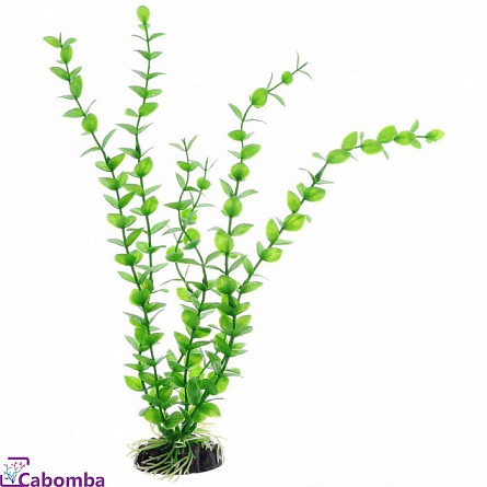 Пластиковое растение Бакопа зелёная фирмы Barbus (10 см) на фото