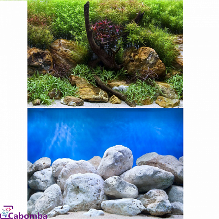 Фон Barbus двухсторонний водный сад/яркие камни 45 см х 94 см на фото
