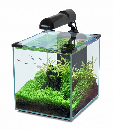 Нано-аквариум NANO CUBIC с LED-освещением фирмы AQUATLANTIS (28.5x33.5x34.5 см/черный/30 литров)  на фото