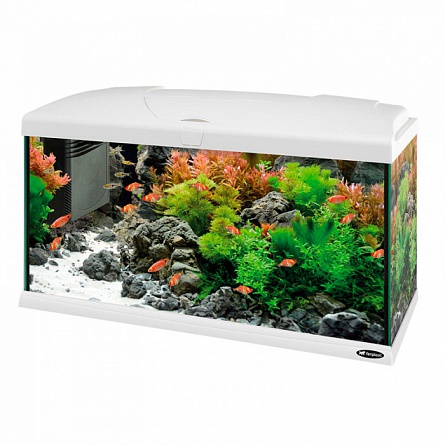 Прямоугольный аквариум FERPLAST CAPRI 80 (80x31,5x46,5 см/белый/100 л) на фото