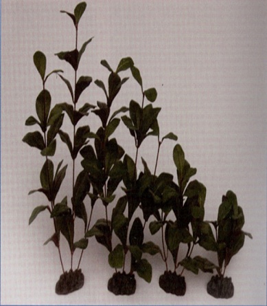 Растение шелковое PRIME Гигрофила (40см) на фото
