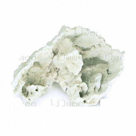 Пластинчатый коралл от UDECO (за кг) на фото