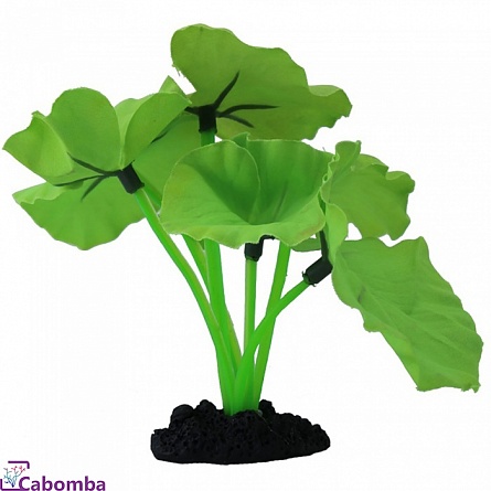 Растение шелковое PRIME Нимфея зеленое (13 см) на фото