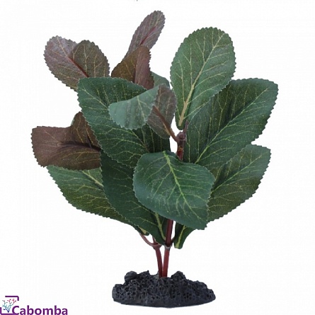 Растение шелковое PRIME Гигрофила (30 см) на фото
