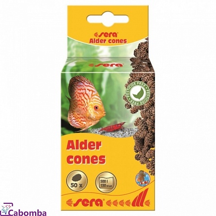 Ольховые шишки Sera Alder cones (50 шт) на фото