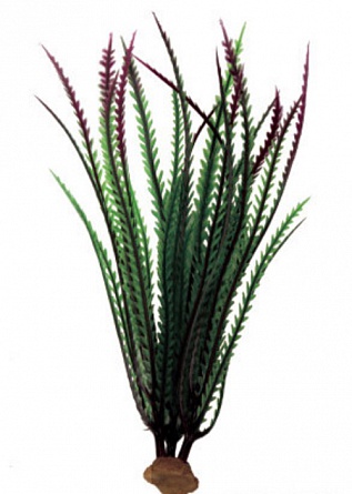 Растение ArtUniq Гигрофила перистонадрезанная (пластик, красно-зеленая, 6x6x23 см) на фото