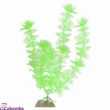 Растение  из пластика GLOFISH GLOFISH зеленое флуоресцентное (20 см) на фото