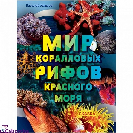 Книга Мир коралловыx рифов Красного моря Климов В. на фото