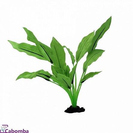 PRIME растение шелковое (Эхинодорус Селовианус) 13 см на фото