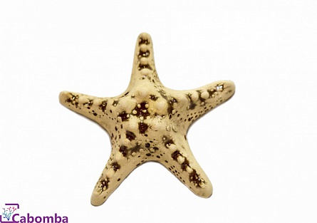 Декоративный элемент из керамики "Звезда" фирмы Аква Лого (11х11х4 см)  на фото