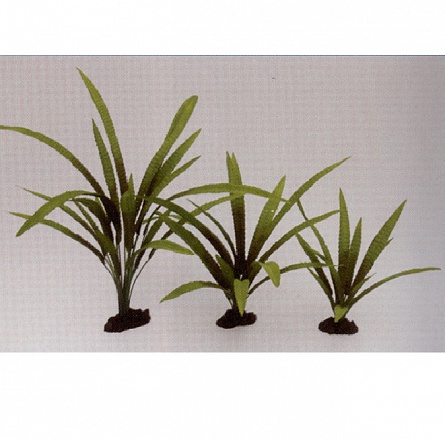 Декоративное растение из шёлка "Криптокорина Балансе" фирмы PRIME (30 см)  на фото