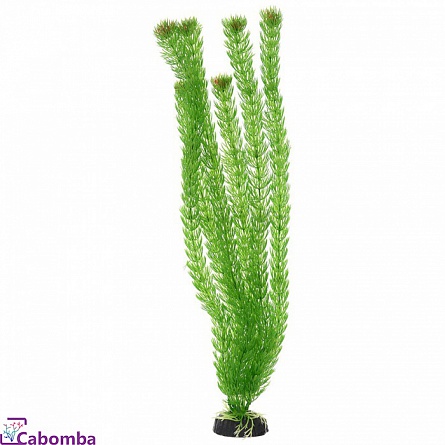 Пластиковое растение Амбулия 10 см фирмы Barbus на фото